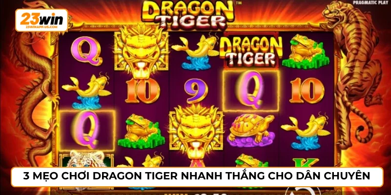 3 mẹo chơi dragon tiger nhanh thắng cho dân chuyên