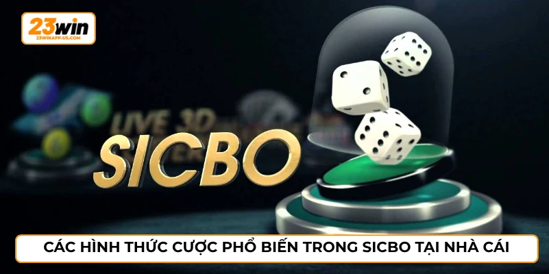Các hình thức cược phổ biến trong sicbo tại nhà cái