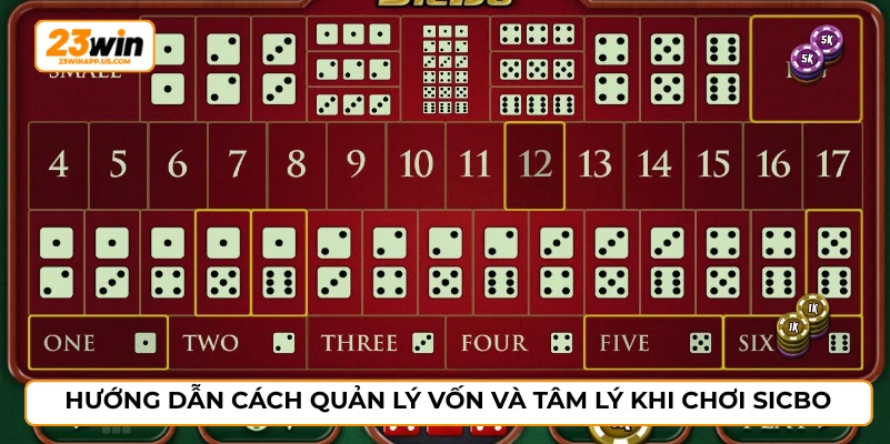 Hướng dẫn cách quản lý vốn và tâm lý khi chơi sicbo