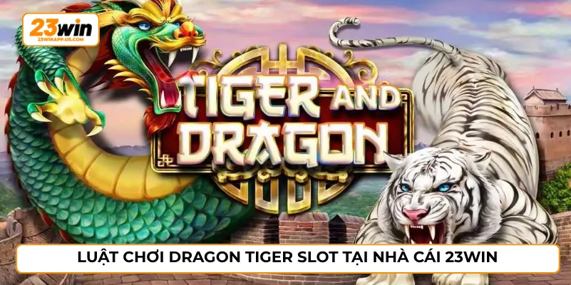 Luật chơi dragon tiger slot tại nhà cái 23WIN