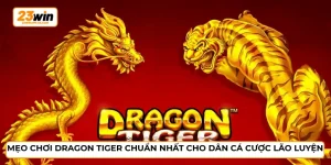 Mẹo chơi Dragon Tiger